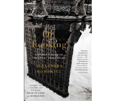 On Looking