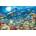 Ravensburger - Puzzle Sea life - 5 000 piese