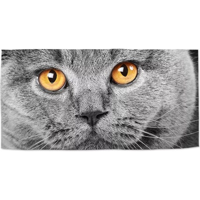 Sablio Uterák Kočičí pohled 50 x 100 cm