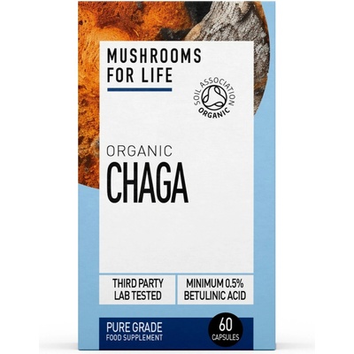 Mushrooms 4 Life Chaga Pure Grade 60 kapsúl