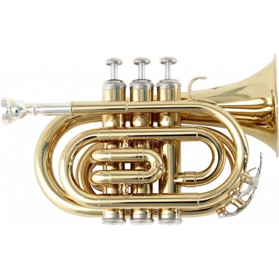 Soundsation STPGD-10P