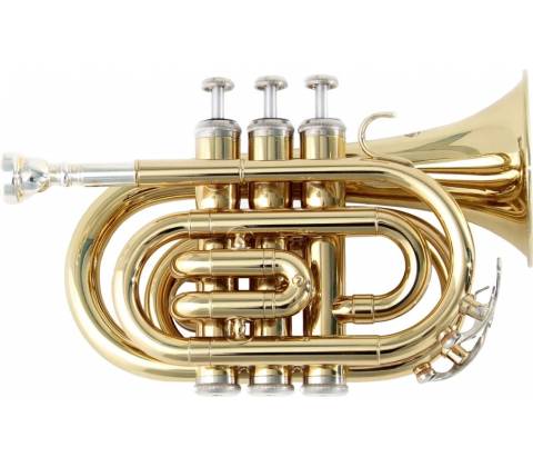 Soundsation STPGD-10P