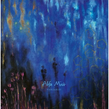 Alfa Mist - Variables LP