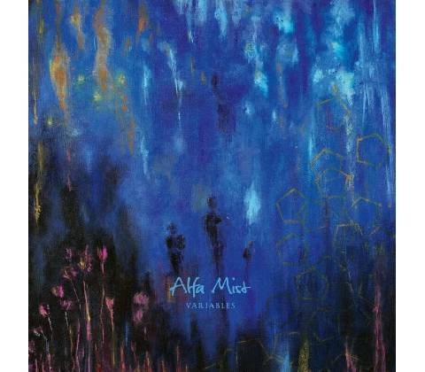 Alfa Mist - Variables LP