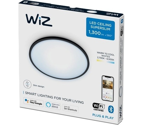 WiZ WI0041