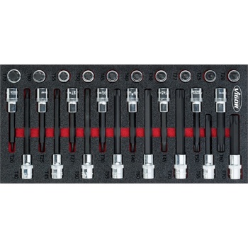 VIGOR V5095