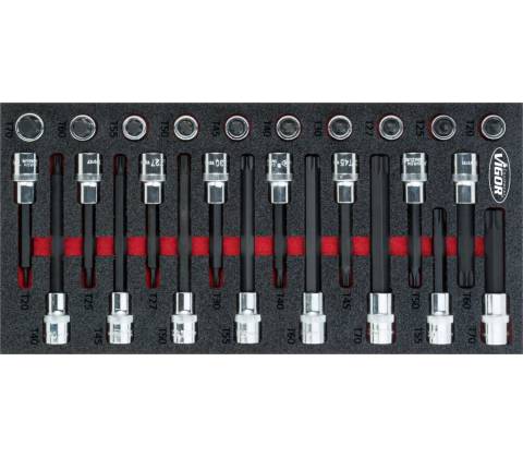 VIGOR V5095