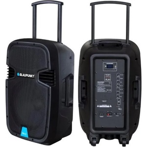 Blaupunkt PA15 Активни колони