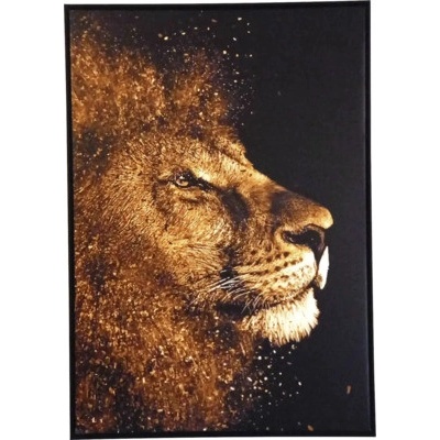Obraz v ráme SHADOW 59x84 cm Lev Gold