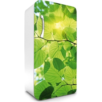 Dimex FR120-009 Fototapeta na lednici Leaves 65 x 120 cm