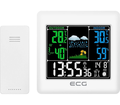 ECG MS 300