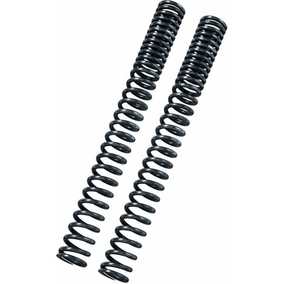 BITUBO Fork springs kit BITUBO Progressive (+2 Lt. Oil)