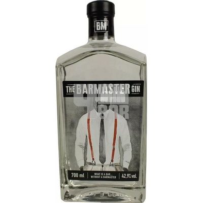 The Barmaster Gin 42,9% 0,7 l (holá láhev)