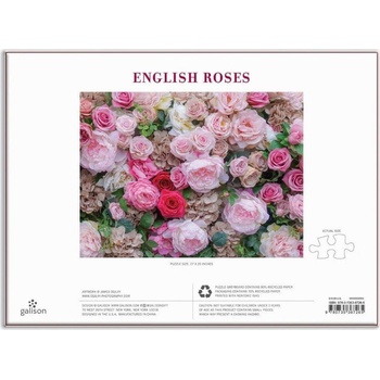 GALISON Anglické růže 1000 dielov