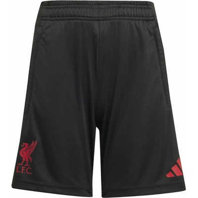 adidas Liverpool FC
