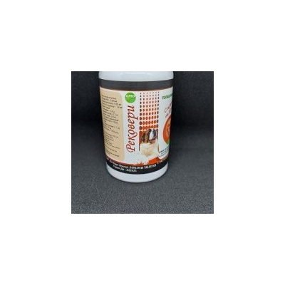 Рековери мощен имуностимулатор с антибактериален ефект за кучета и котк