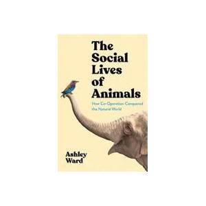 The Social Lives of Animals (ISBN: 9781788168854)