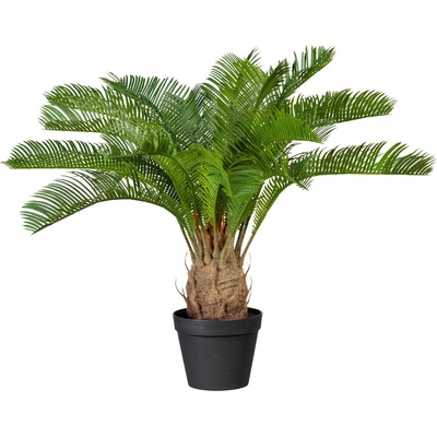 Umelá rastlina cykas cycas revoluta 60 cm zelená v plastovom kvetináči so zeminou 15x13 cm