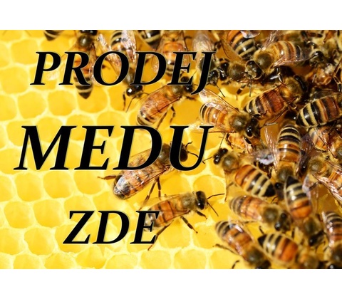 Cedule Jawa - logo