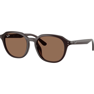Ray-Ban RB4459D 623173