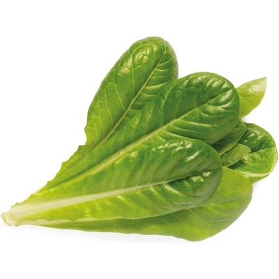 Click and Grow římský salát, kapsle se semínky a substrátem 9 ks