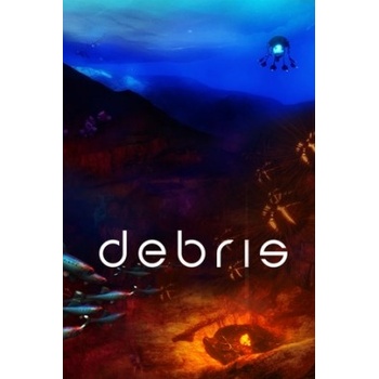 Debris