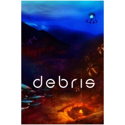 Debris
