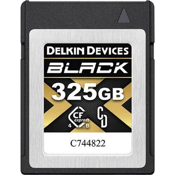 Image 1 of Delkin Devices 325GB DCFX4B325