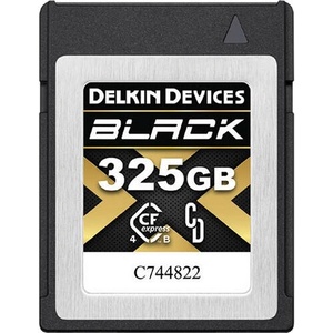 Delkin Devices 325GB DCFX4B325