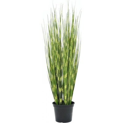 Zebrovaná tráva, 90cm