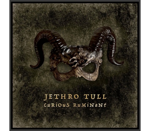 Jethro Tull Curious RuMinant 1 LP