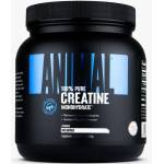 Universal Nutrition Creatine, 500 Grams - fitnesdobavki - 44,96 лв
