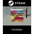 PolyRace