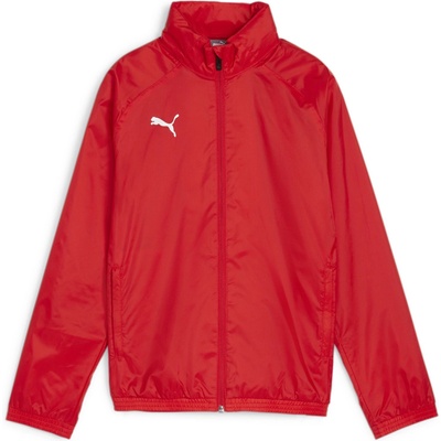 PUMA Яке Puma teamGOAL Allweather Jacket Jr 659045-01 Размер 116