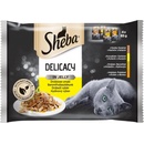 Sheba Delicacy drůbeží výběr 4pack 4 x 85 g