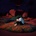 Lily Juniper - Bloom Gloom LP