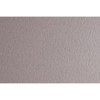 Fabriano Картон Colore, 50 x 70 cm, 200 g/m2, № 222, светлосив (42303222/2_PERLA)