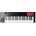 M-Audio Oxygen 49 (MKV)