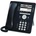 Avaya 9608G