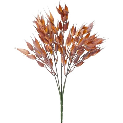 ZELEŇ KLASY BORDOVÉ 35CM