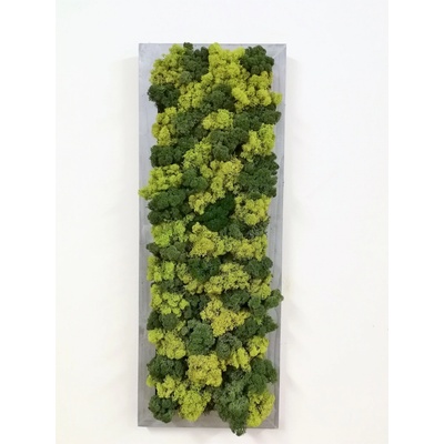 Dvojfarebný machový obraz v sivom ráme 60cm x 20cm