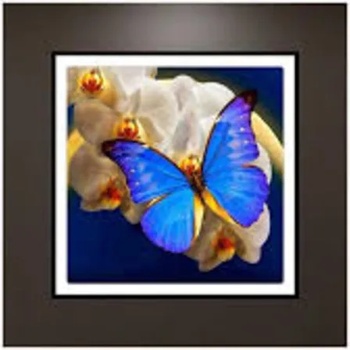 Image 1 of Пеперуда 15/20 см