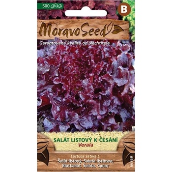 MoravoSeed Salát listový k česání Verala