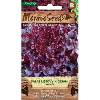 MoravoSeed Salát listový k česání Verala