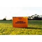 Callaway Warbird - Yellow 12Pk
