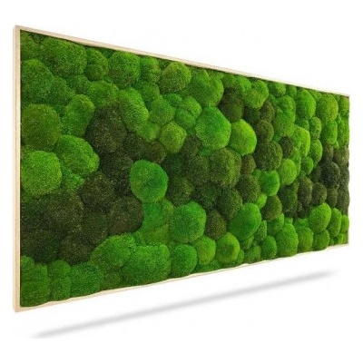 Machový obraz DUO Light Green, 100x50cm, drevený svetlohnedý rám