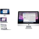 Fomei Digital Pro X - 1200