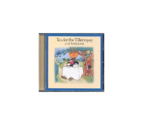 STEVENS CAT: TEA FOR THE TILLERMAN CD