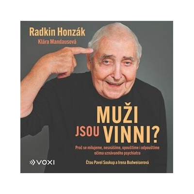 Muži jsou vinni?