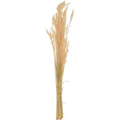 OVOS SUŠINA BIELA